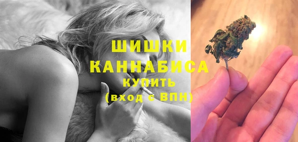 индика Наволоки