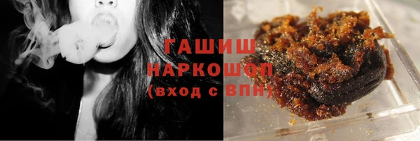 индика Надым