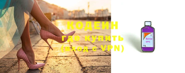 индика Надым