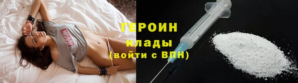 индика Надым