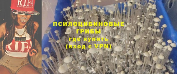 индика Надым