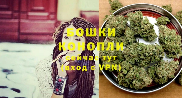 индика Надым