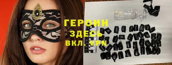 индика Надым