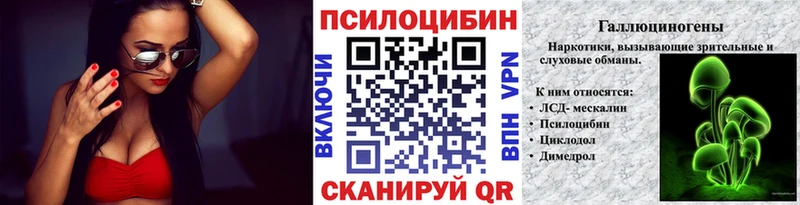 закладки  Порхов  Псилоцибиновые грибы мицелий 